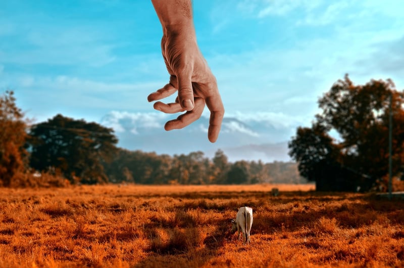 Tiny Landscapes